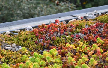 the cost of Upper Wraxall green roof installation