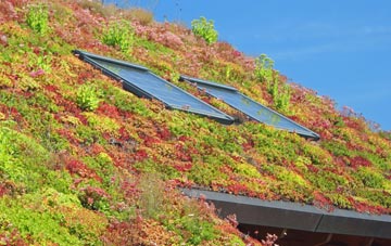 Upper Wraxall living roof systems