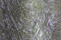 Upper Wraxall fibreglass roof work